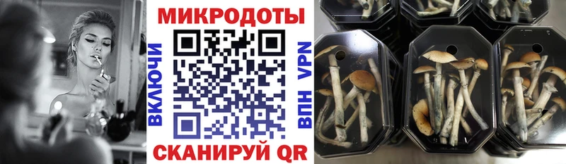Галлюциногенные грибы GOLDEN TEACHER Прохладный