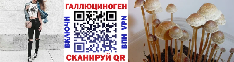 hydra ТОР  Прохладный  Галлюциногенные грибы прущие грибы 